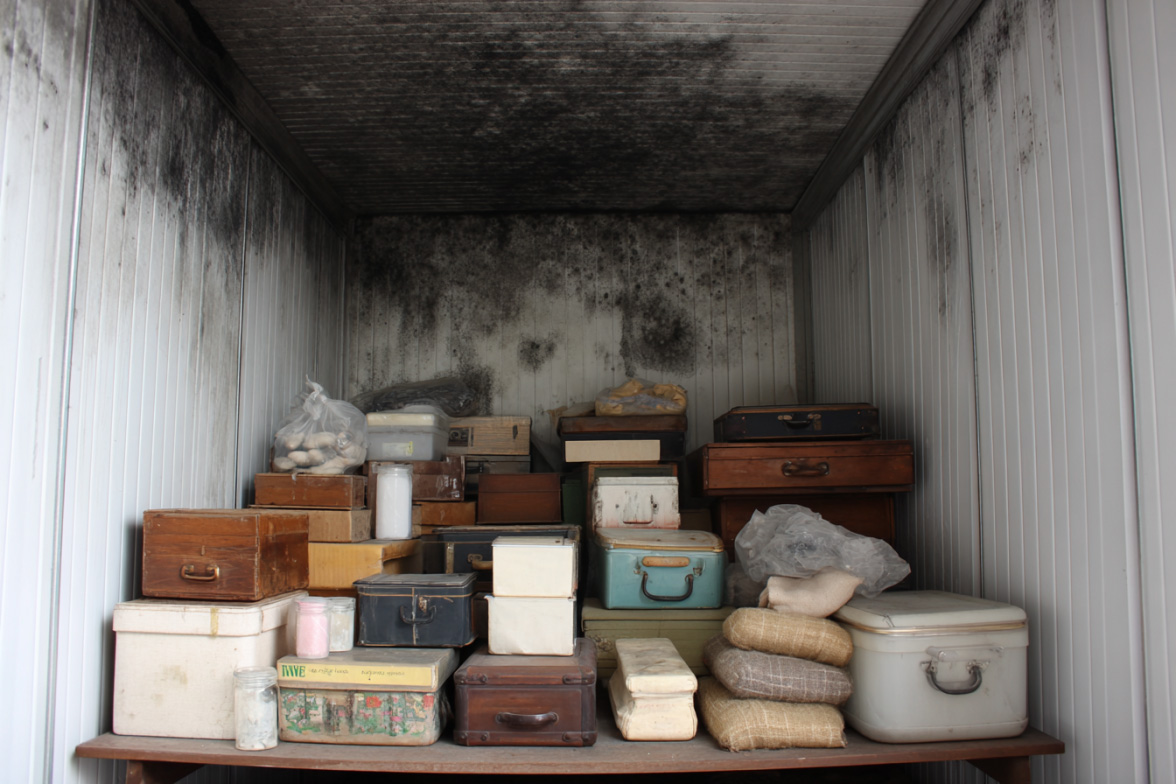 mould in storage units